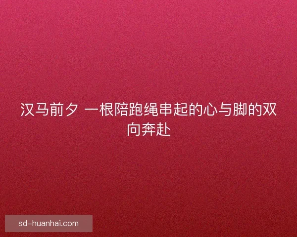 汉马前夕 一根陪跑绳串起的心与脚的双向奔赴