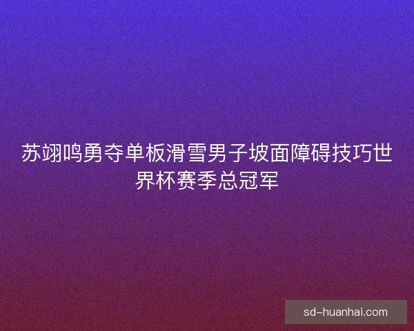 苏翊鸣勇夺单板滑雪男子坡面障碍技巧世界杯赛季总冠军