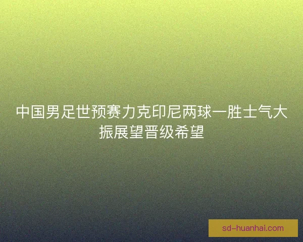 中国男足世预赛力克印尼两球一胜士气大振展望晋级希望 中国男足世预赛力克印尼两球一胜士气大振展望晋级希望